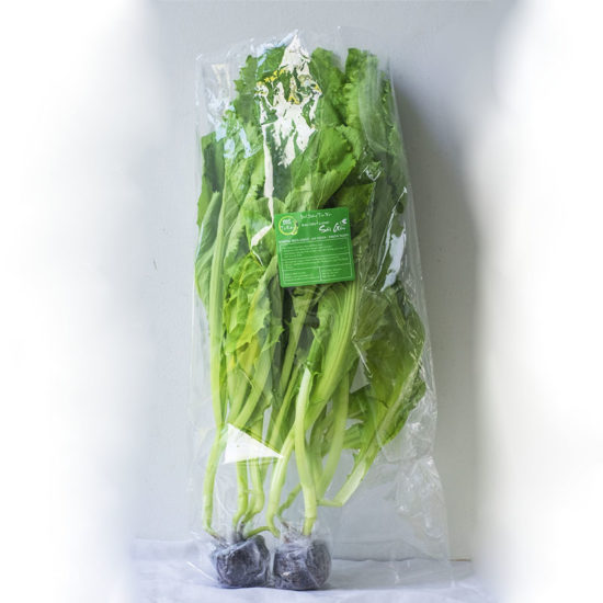 Rau cải xanh thủy canh giá rẻ